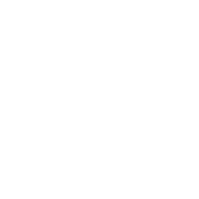 交易FIS安全吗？